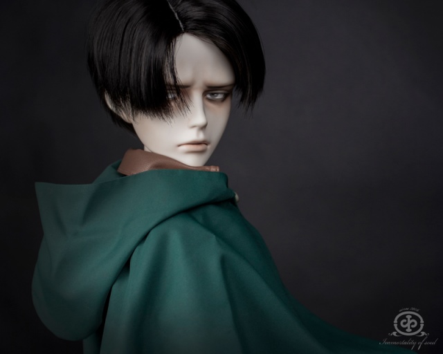 attack on titan bjd